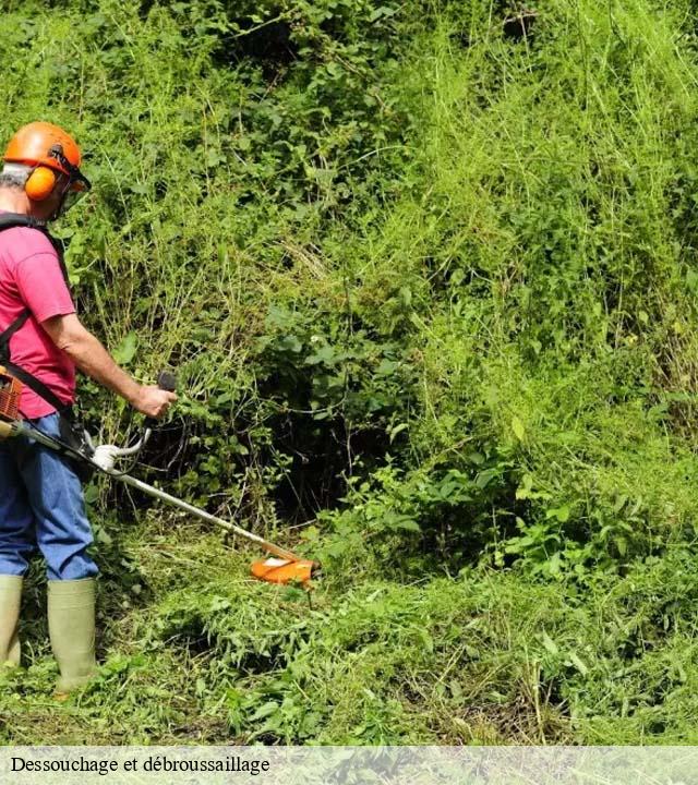 Dessouchage et débroussaillage 50 Manche  RS Espace vert