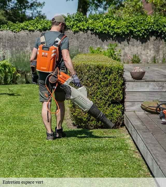 Entretien espace vert  la-croix-avranchin-50240 RS Espace vert