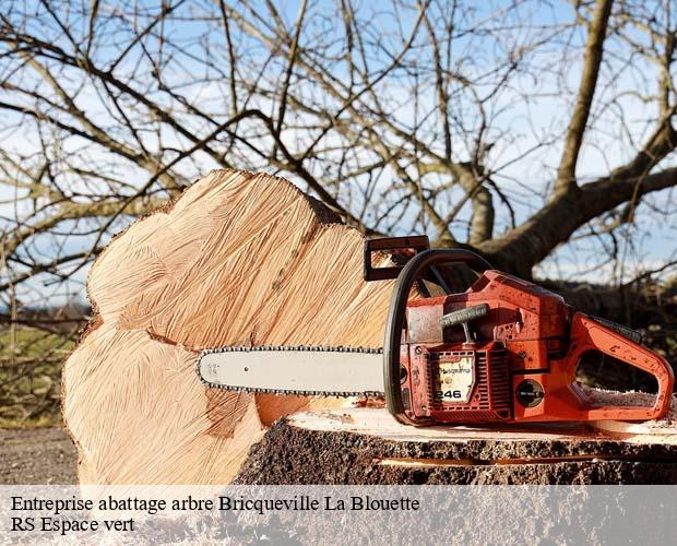 Entreprise abattage arbre  bricqueville-la-blouette-50200 RS Espace vert