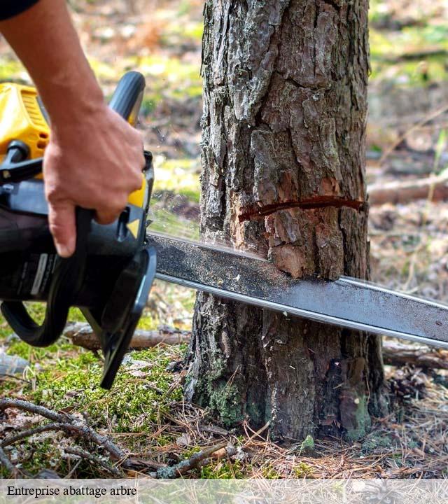 Entreprise abattage arbre  la-croix-avranchin-50240 RS Espace vert