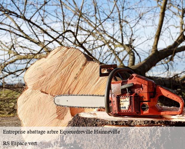 Entreprise abattage arbre  equeurdreville-hainneville-50120 RS Espace vert