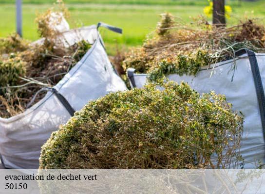 evacuation de dechet vert   vengeons-50150 RS Espace vert