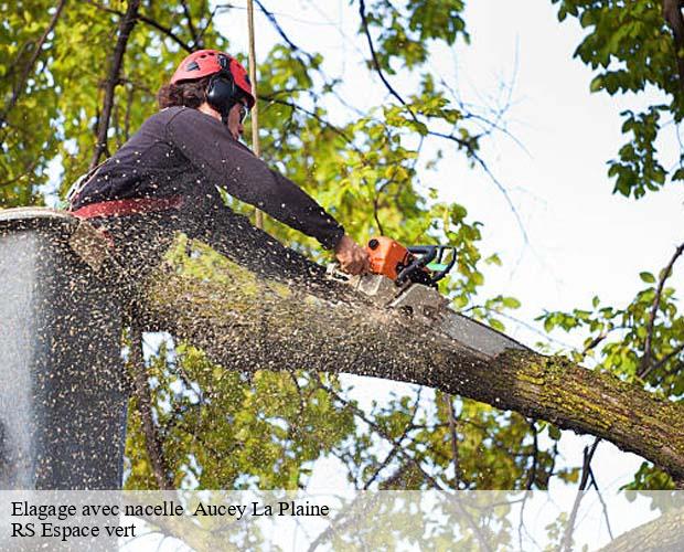 Elagage avec nacelle   aucey-la-plaine-50170 RS Espace vert