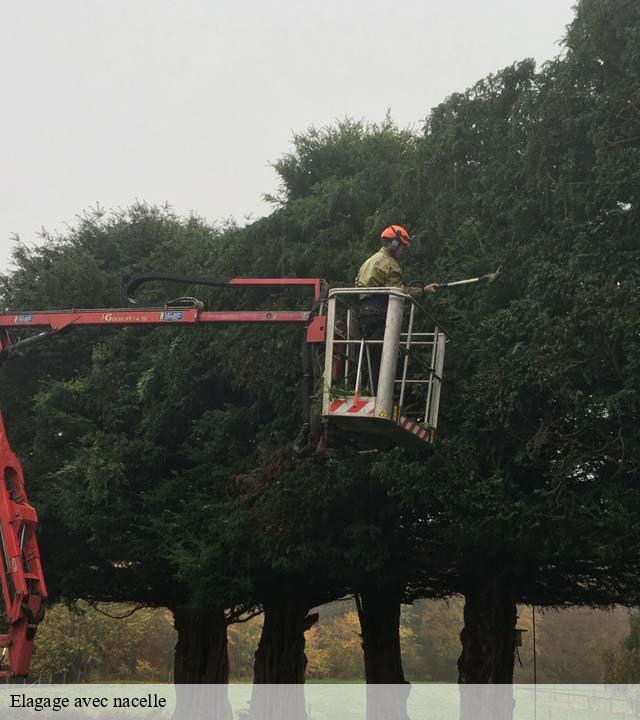 Elagage avec nacelle   sourdeval-les-bois-50450 RS Espace vert