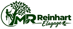 mr-reinhart